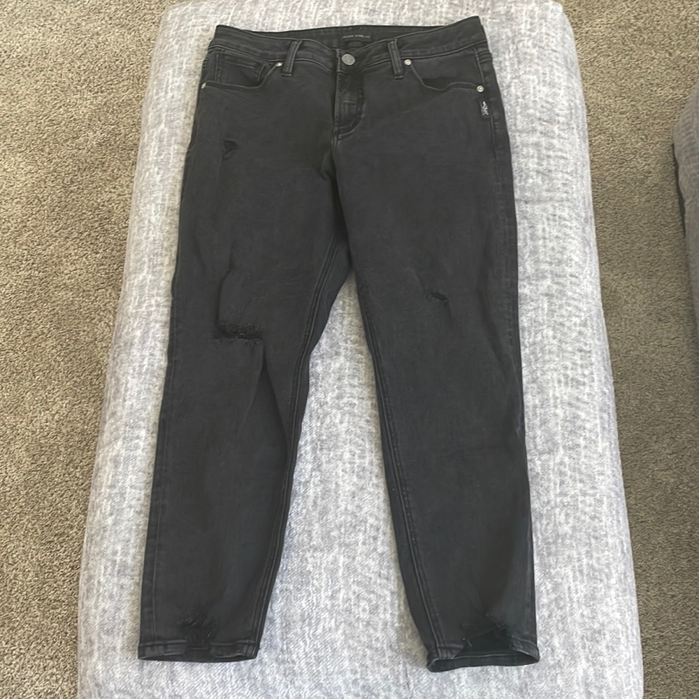 Silvers Avery crop